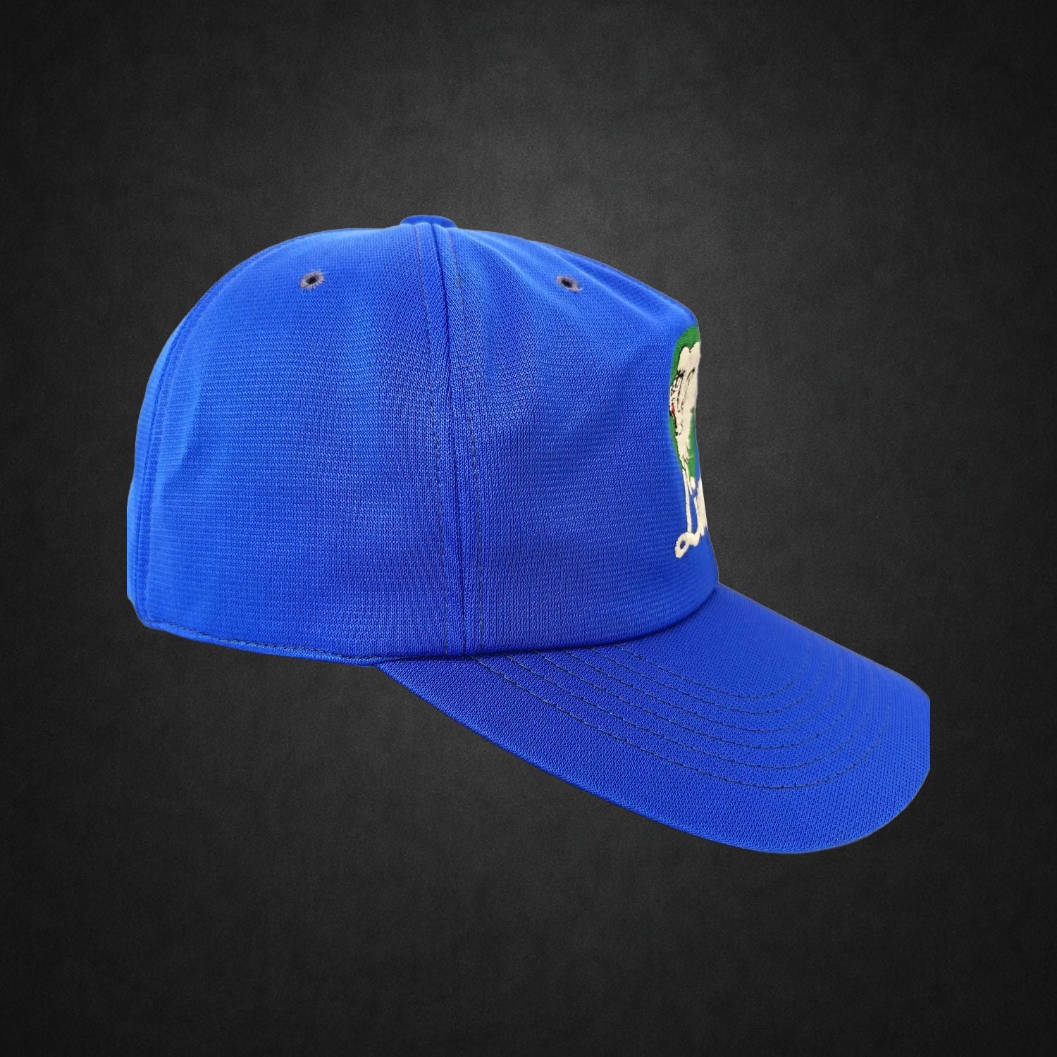 Lions Baseball Cross NPB Blue Hat